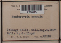 Image Associated With the Occurence